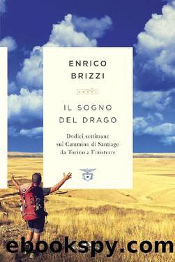 Brizzi Enrico - 2017 - Il sogno del drago. Dodici settimane sul Cammino di Santiago da Torino a Finisterre by Brizzi Enrico