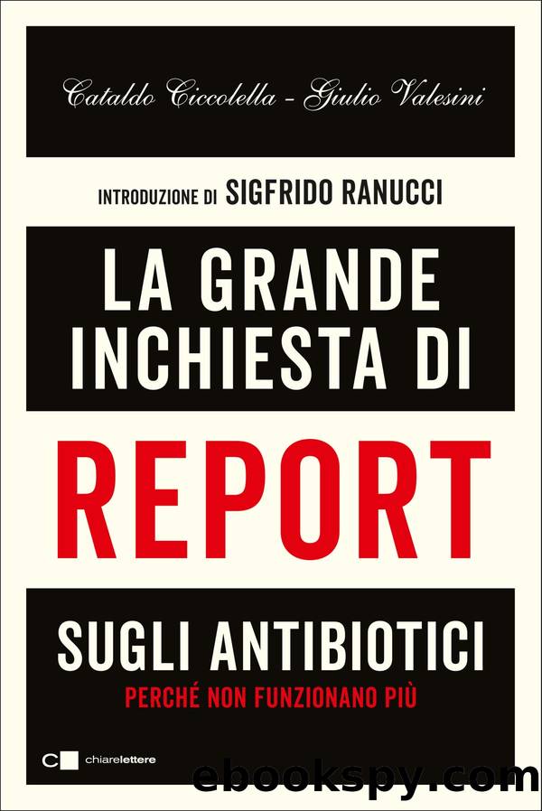 Cataldo Ciccolella, Giulio Valesini by La grande inchiesta di Report