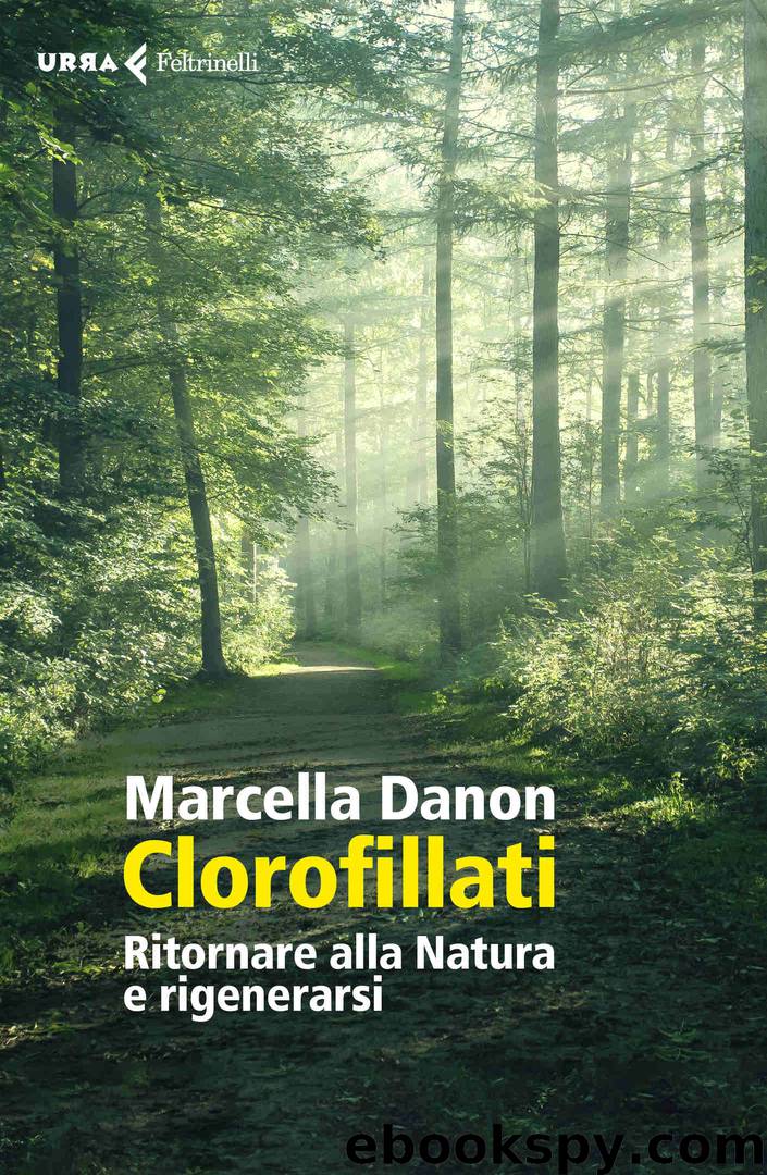Clorofillati by Marcella Danon
