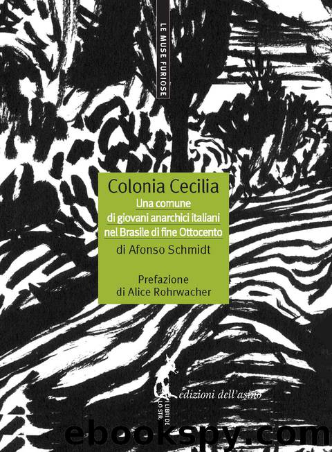 Colonia Cecilia. Una comune di giovani anarchici italiani nel Brasile di fine Ottocento by Afonso Schmidt