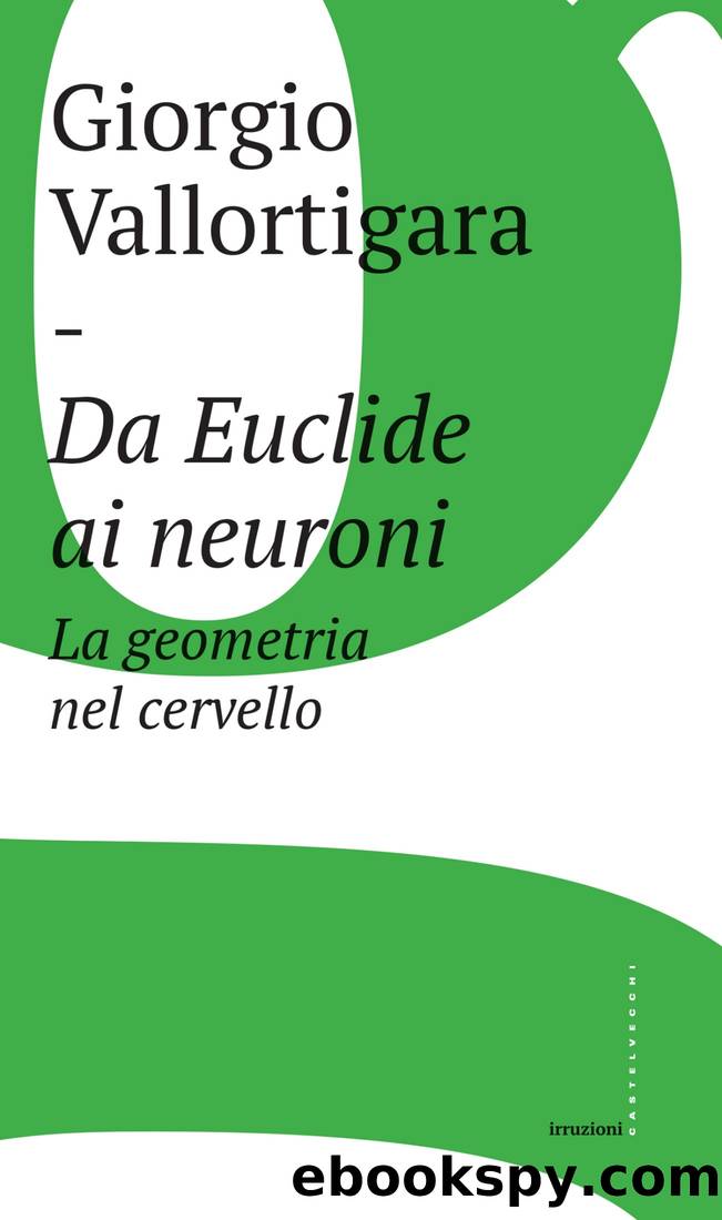 Da Euclide ai neuroni by Giorgio Vallortigara