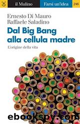 Dal Big Bang alla cellula madre. L'origine della vita by Ernesto Di Mauro & Raffaele Saladino