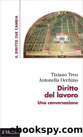 Diritto del lavoro by Tiziano Treu;Antonella Occhino;