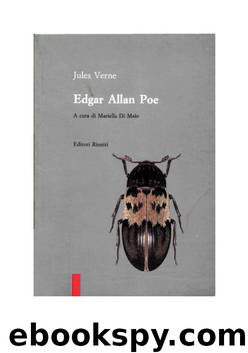 Edgar Allan Poe by jules verne