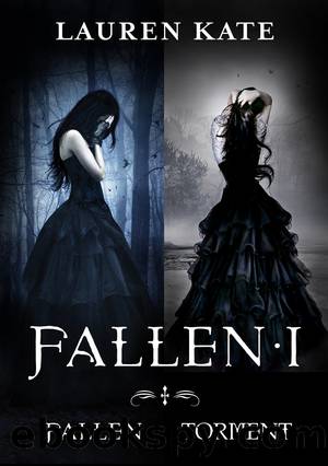 Fallen I by Lauren Kate