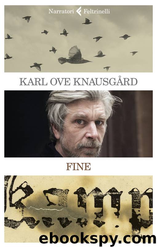 Fine by Karl Ove Knausgård