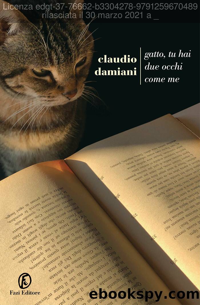 Gatto, tu hai due occhi come me by Claudio Damiani
