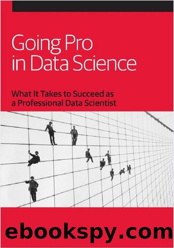 Going Pro in Data Science by MOUSAIF YASSINE
