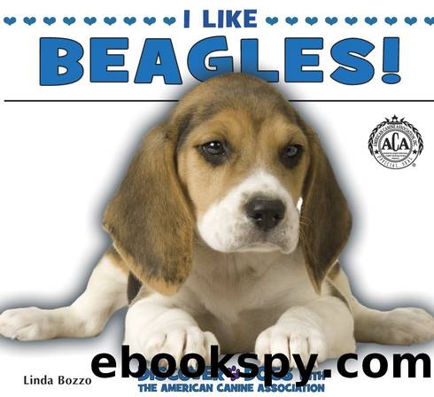 I Like Beagles! by Linda Bozzo