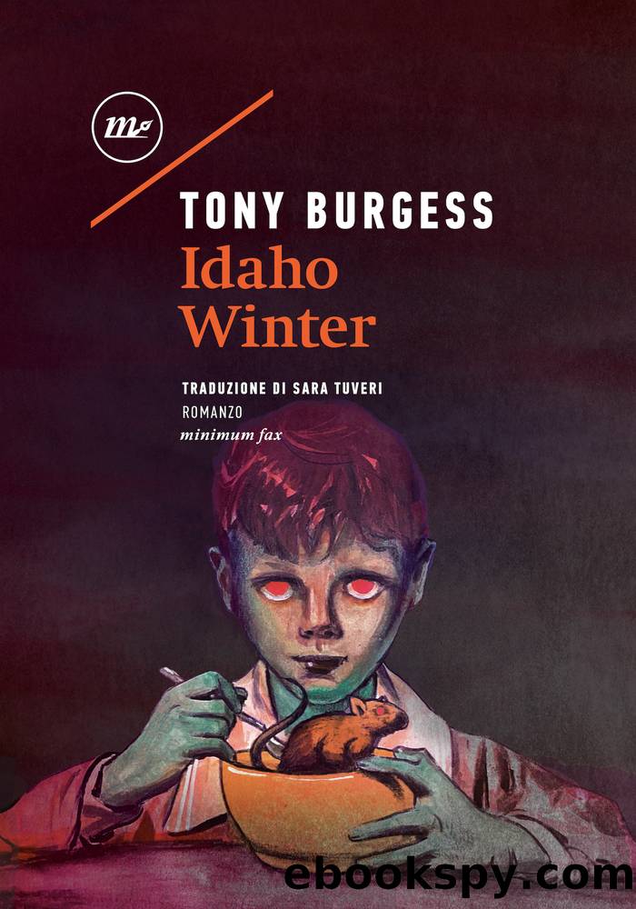 Idaho Winter by Tony Burgess