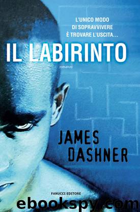 Il Labirinto by James Dashner
