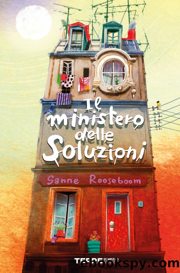 Il ministero delle Soluzioni by Sanne Rooseboom