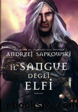Il sangue degli elfi by Andrzej Sapkowsky