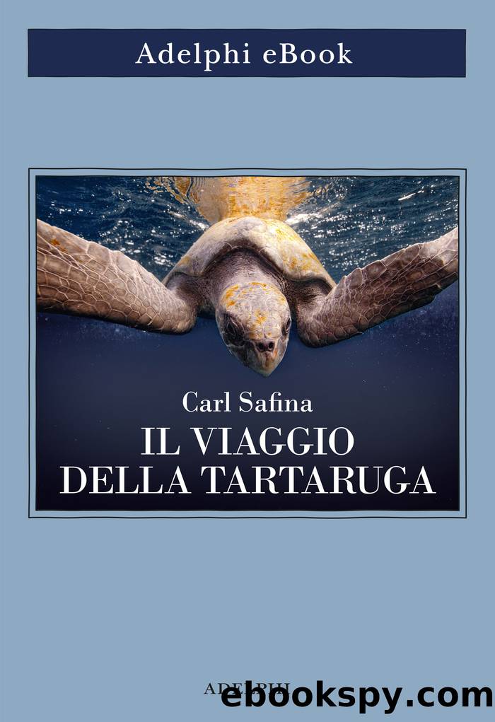 Il viaggio della tartaruga by Carl Safina