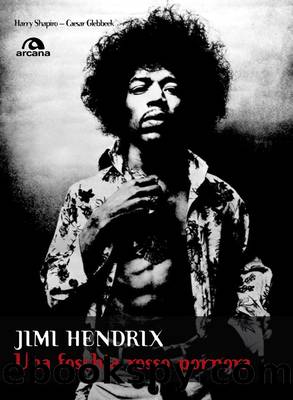 Jimi Hendrix by Harry Shapiro & Caesar Glebbeek;