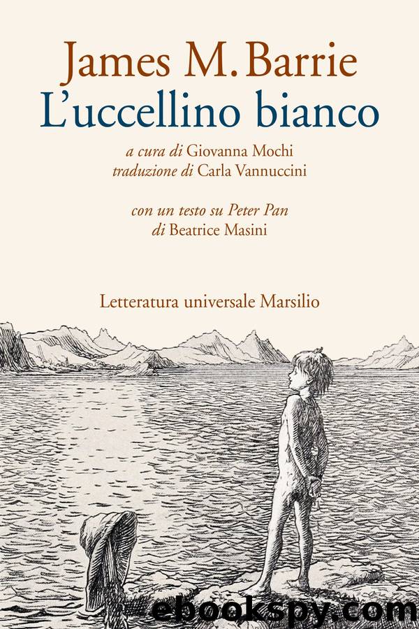 L'uccellino bianco by unknow