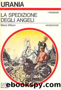 La Spedizione Degli Angeli by Wilson Steve