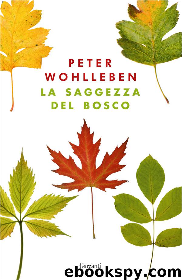 La saggezza del bosco by Peter Wohlleben