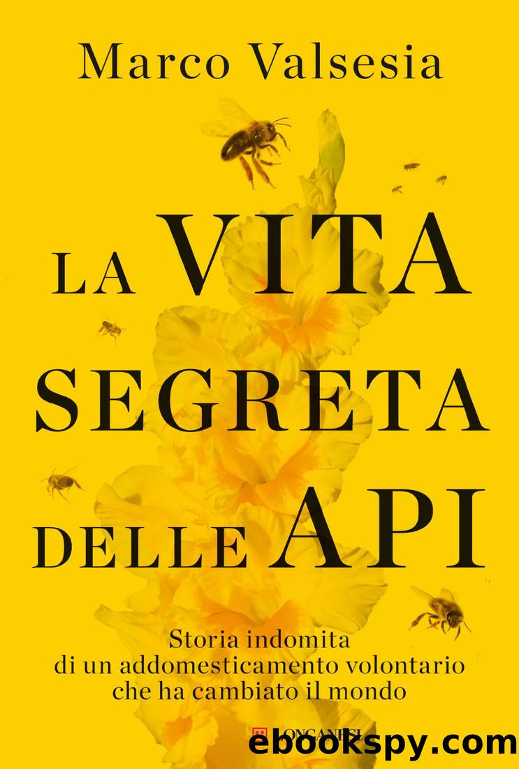 La vita segreta delle api by Marco Valsesia