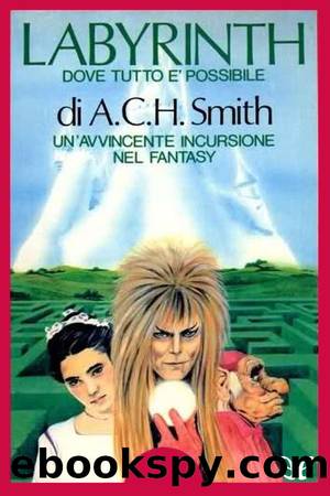 Labyrinth by A. C. H. Smith