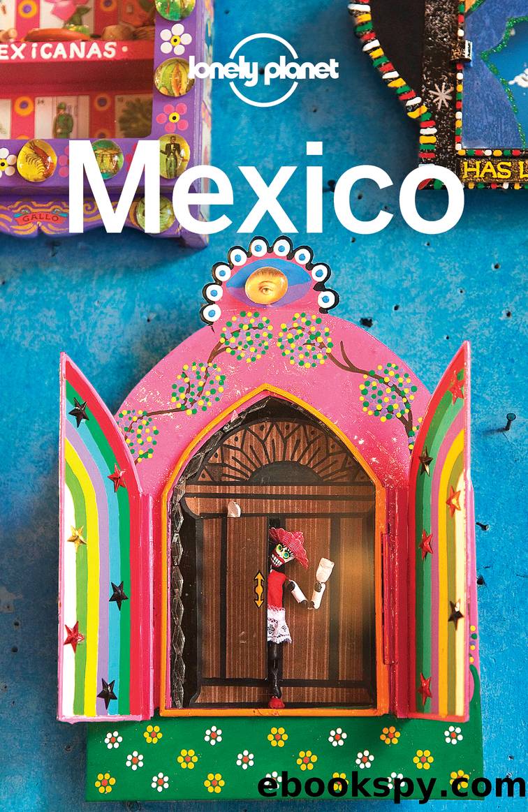 Mexico Travel Guide by Lonely Planet