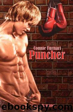 Puncher by Connie Furnari