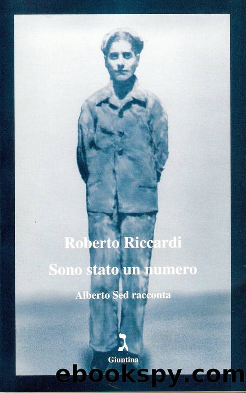 Riccardi Roberto - 2009 - Sono stato un numero by Riccardi Roberto