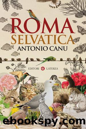 Roma selvatica by Antonio Canu;