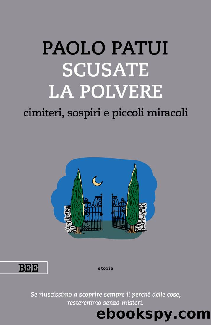 Scusate la polvere by Paolo Patui