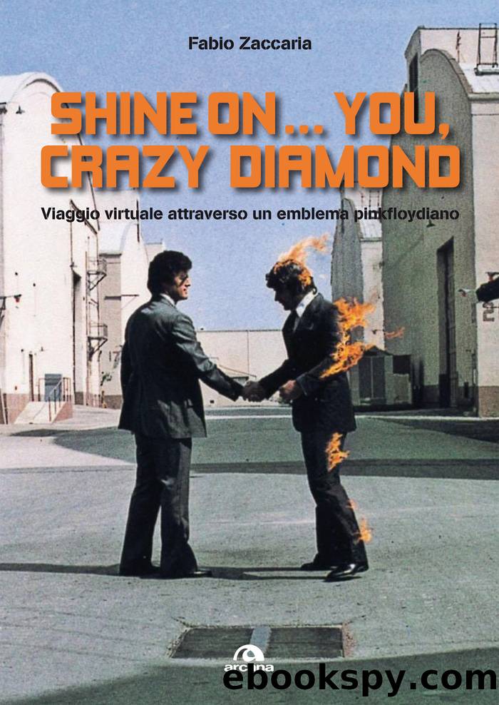 Shine onyou, crazy diamond by Fabio Zaccaria;