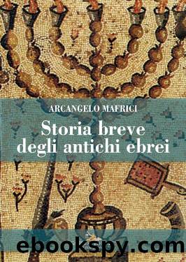 Storia breve degli antichi ebrei by Arcangelo Mafrici
