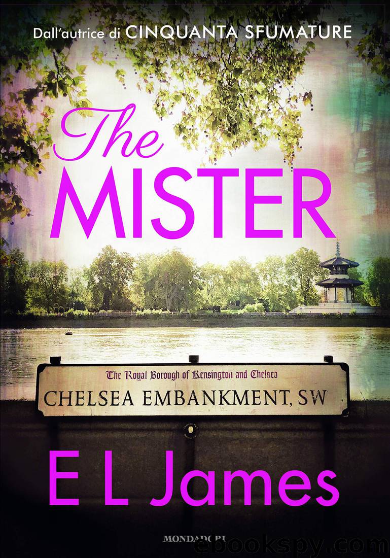 The mister by E. L. James