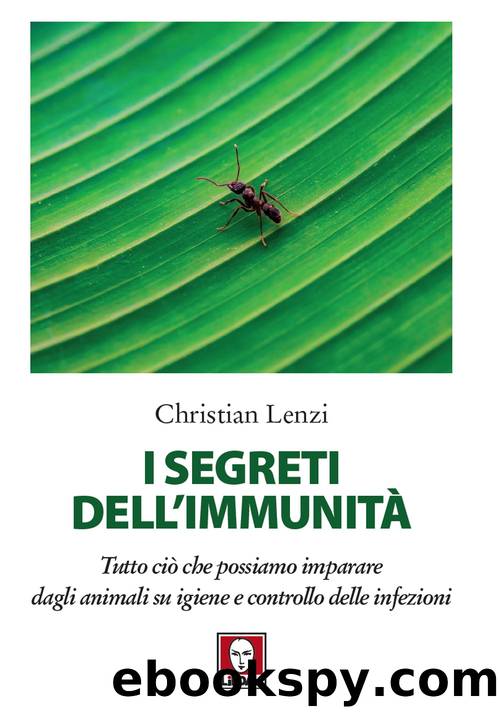 icerbox Lenzi dellimmunita by Unknown